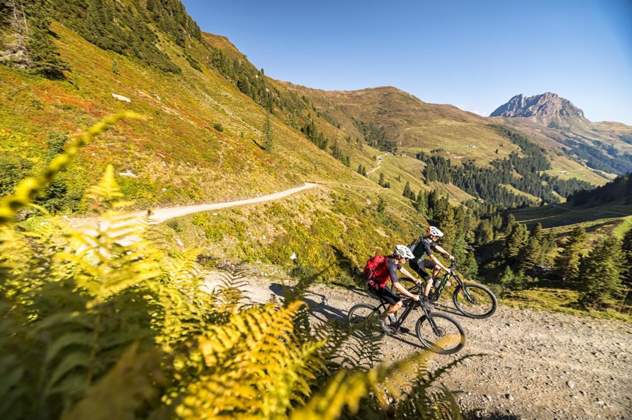 Landhaus Celina - Panoramastall Rossberg Neukirchen am Großvenediger Exteriör bild